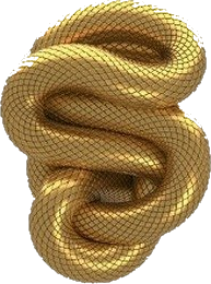 Rae Enterprise LLC gold serpent logo